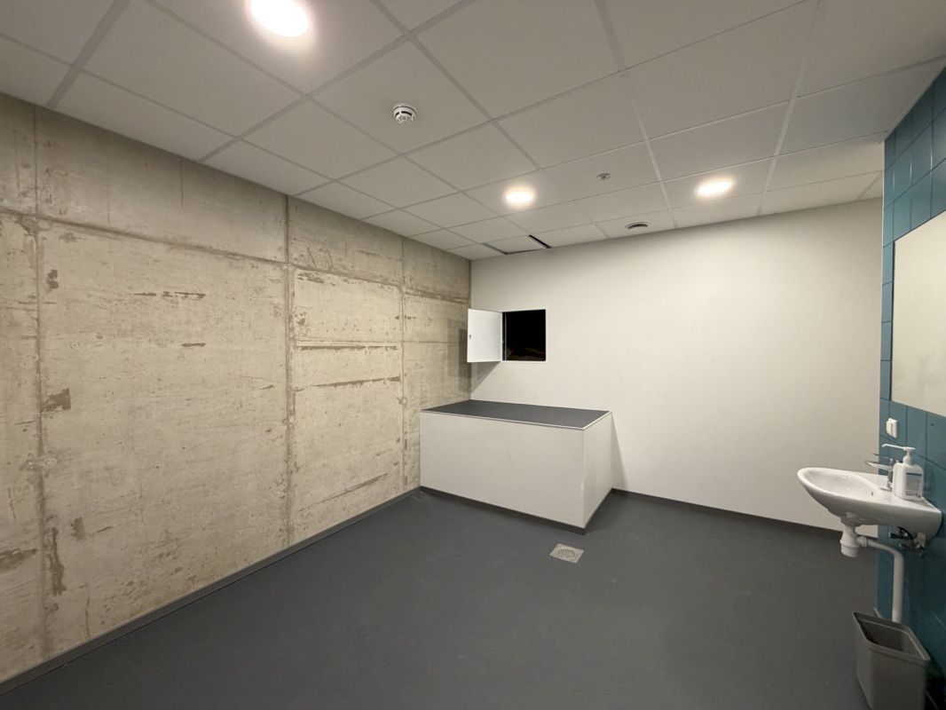 Saaremaa vald, Kuressaare linn, Merikotka 1