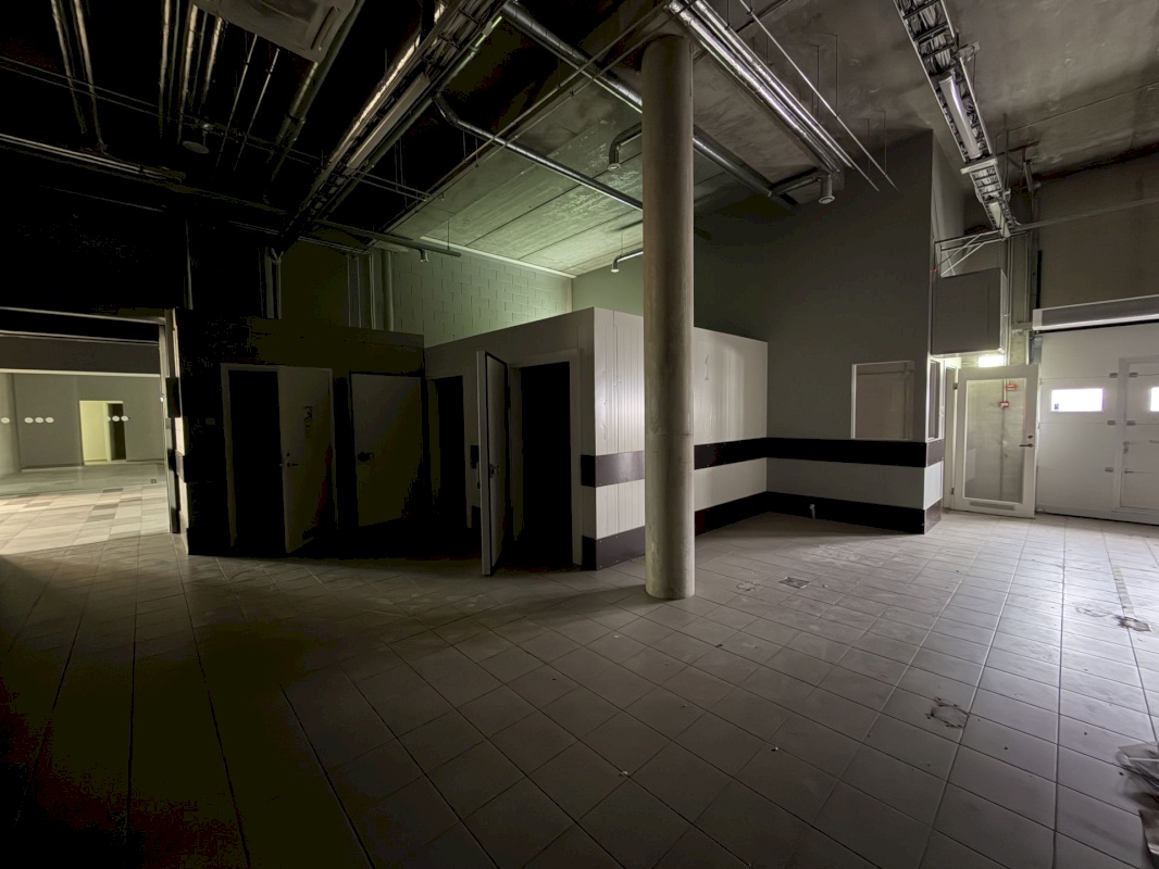 Saaremaa vald, Kuressaare linn, Merikotka 1