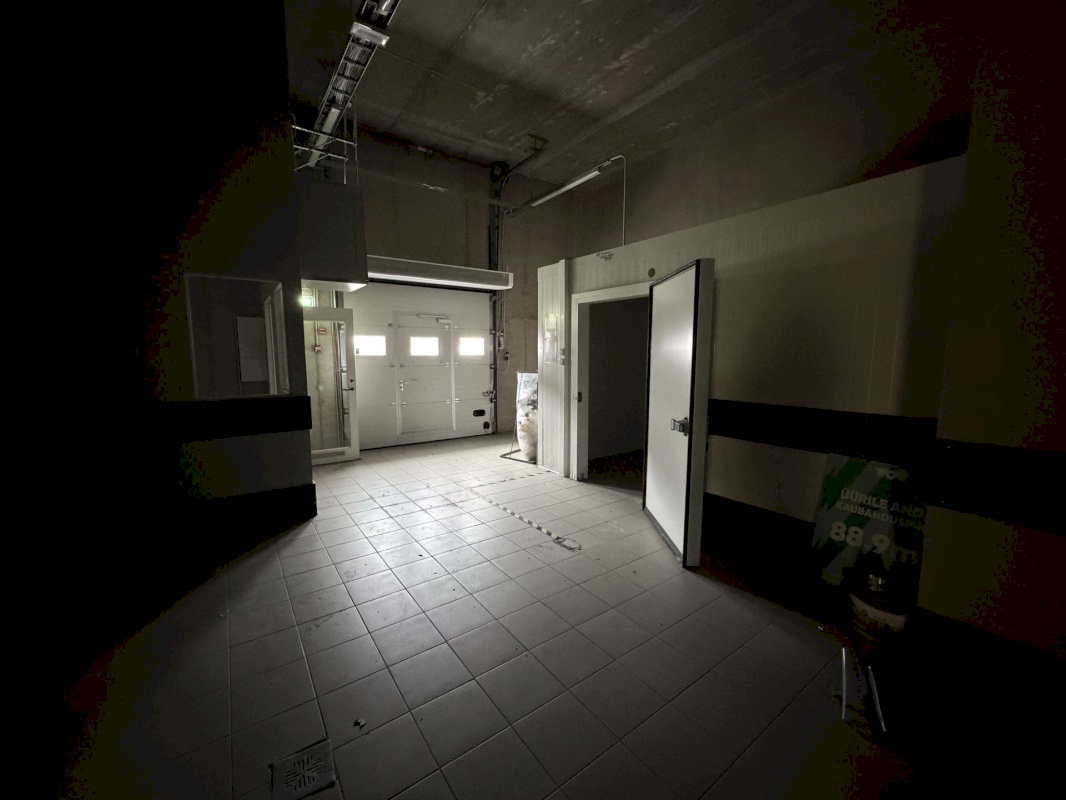 Saaremaa vald, Kuressaare linn, Merikotka 1