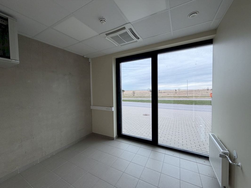 Saaremaa vald, Kuressaare linn, Merikotka 1