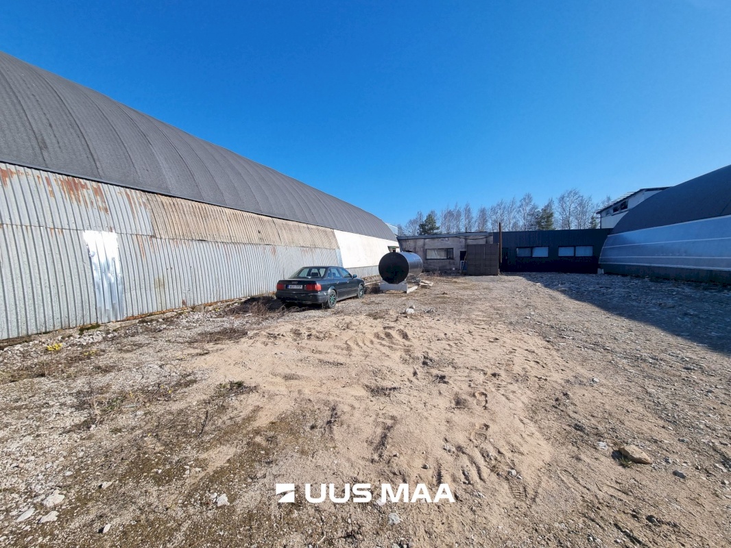 Rakvere linn, Tehase tn. 11