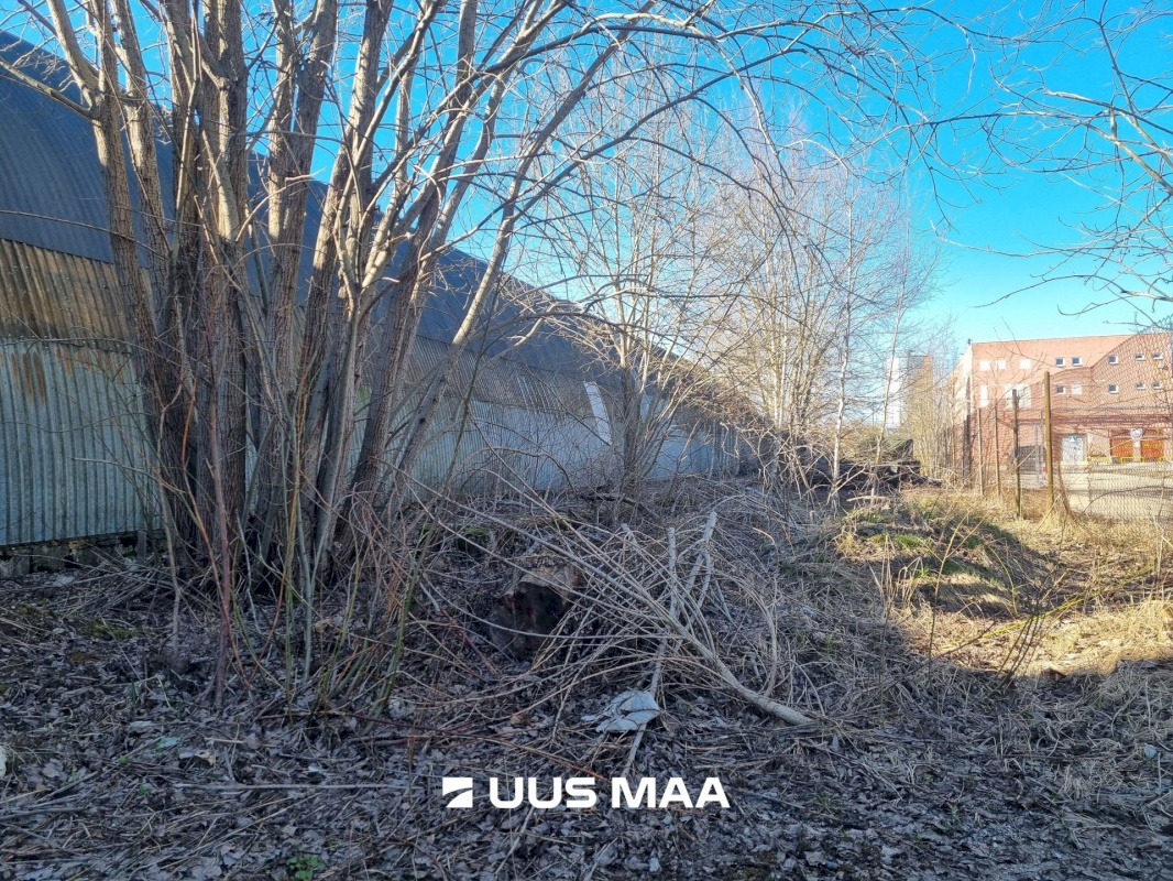 Rakvere linn, Tehase tn. 11