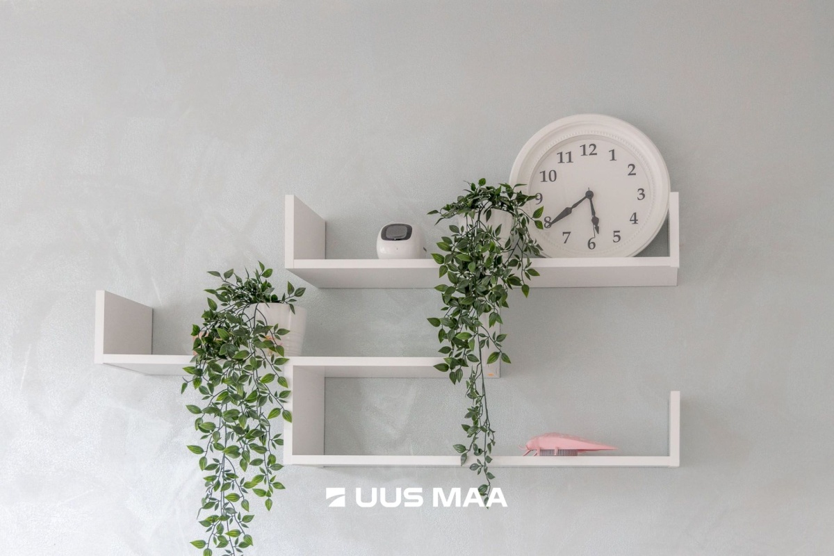Luunja vald, Lohkva küla, Puupilli tee 1/2