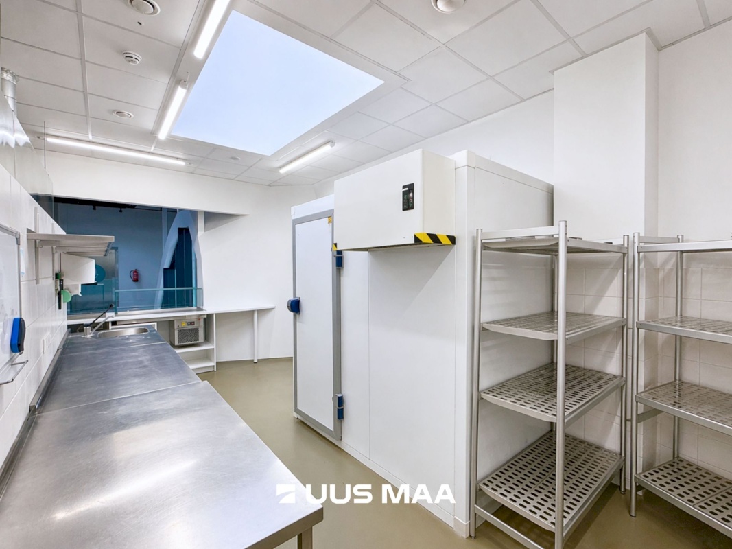 Saaremaa vald, Kuressaare linn, Merikotka 1