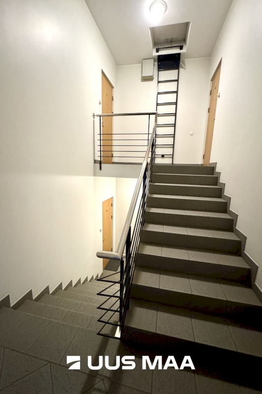 Tallinn, Kesklinna linnaosa, Kadriorg, Koidula 28