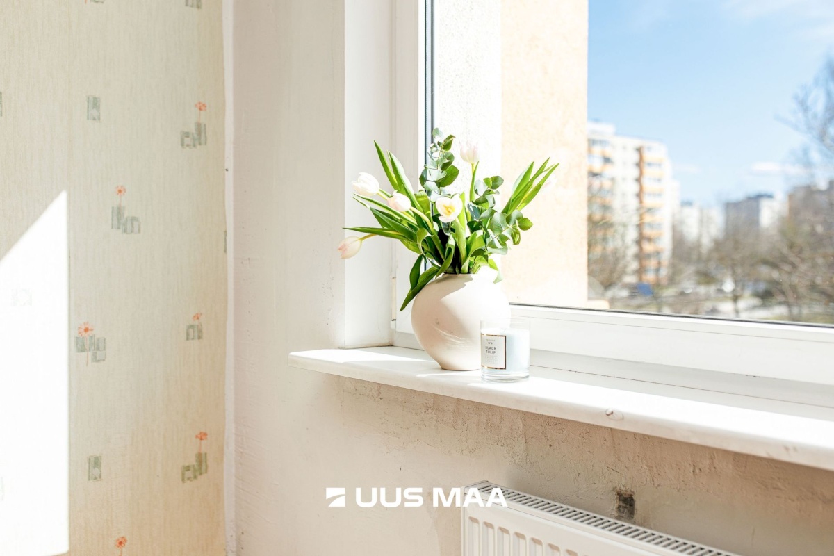 Tallinn, Lasnamäe linnaosa, Mustakivi, Mahtra 10