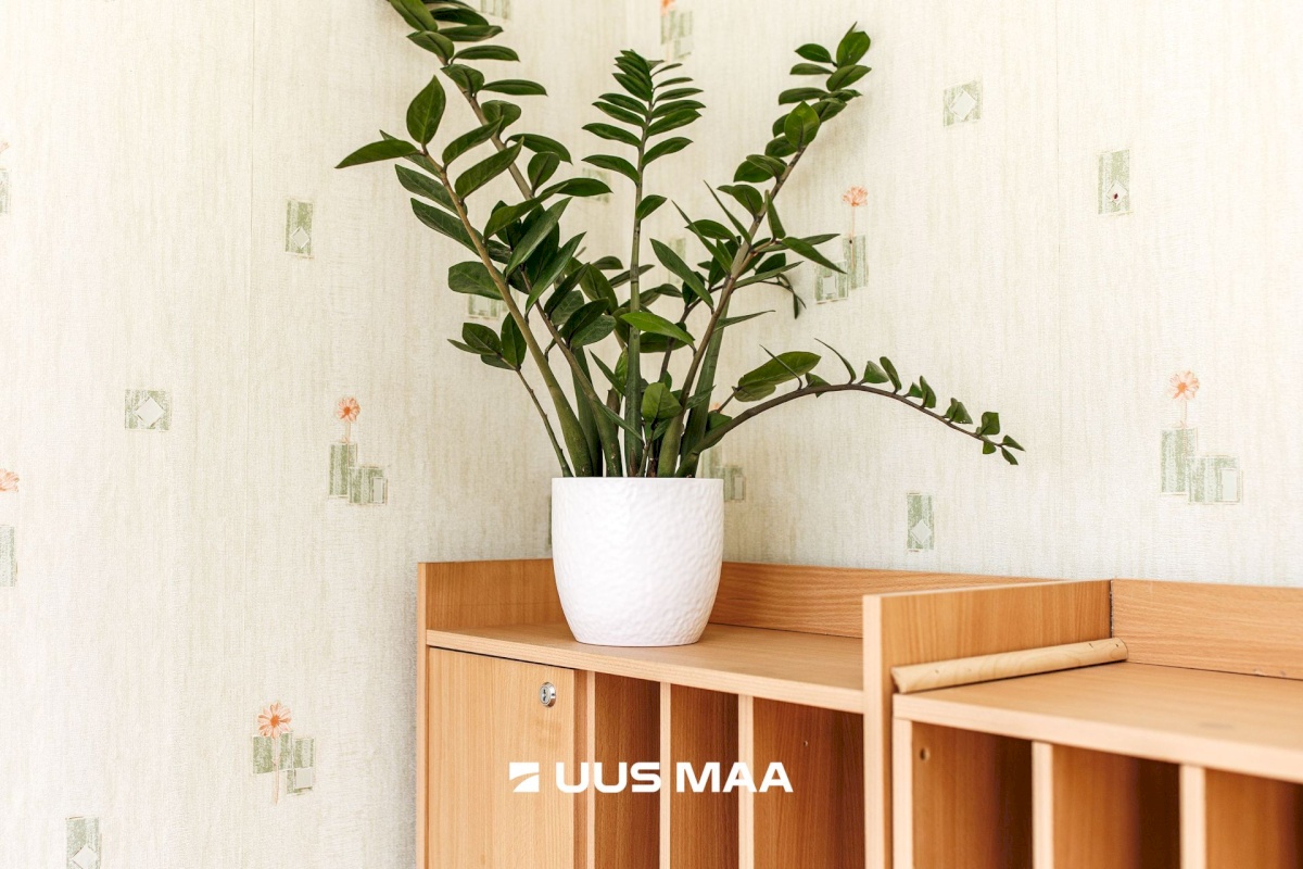 Tallinn, Lasnamäe linnaosa, Mustakivi, Mahtra 10