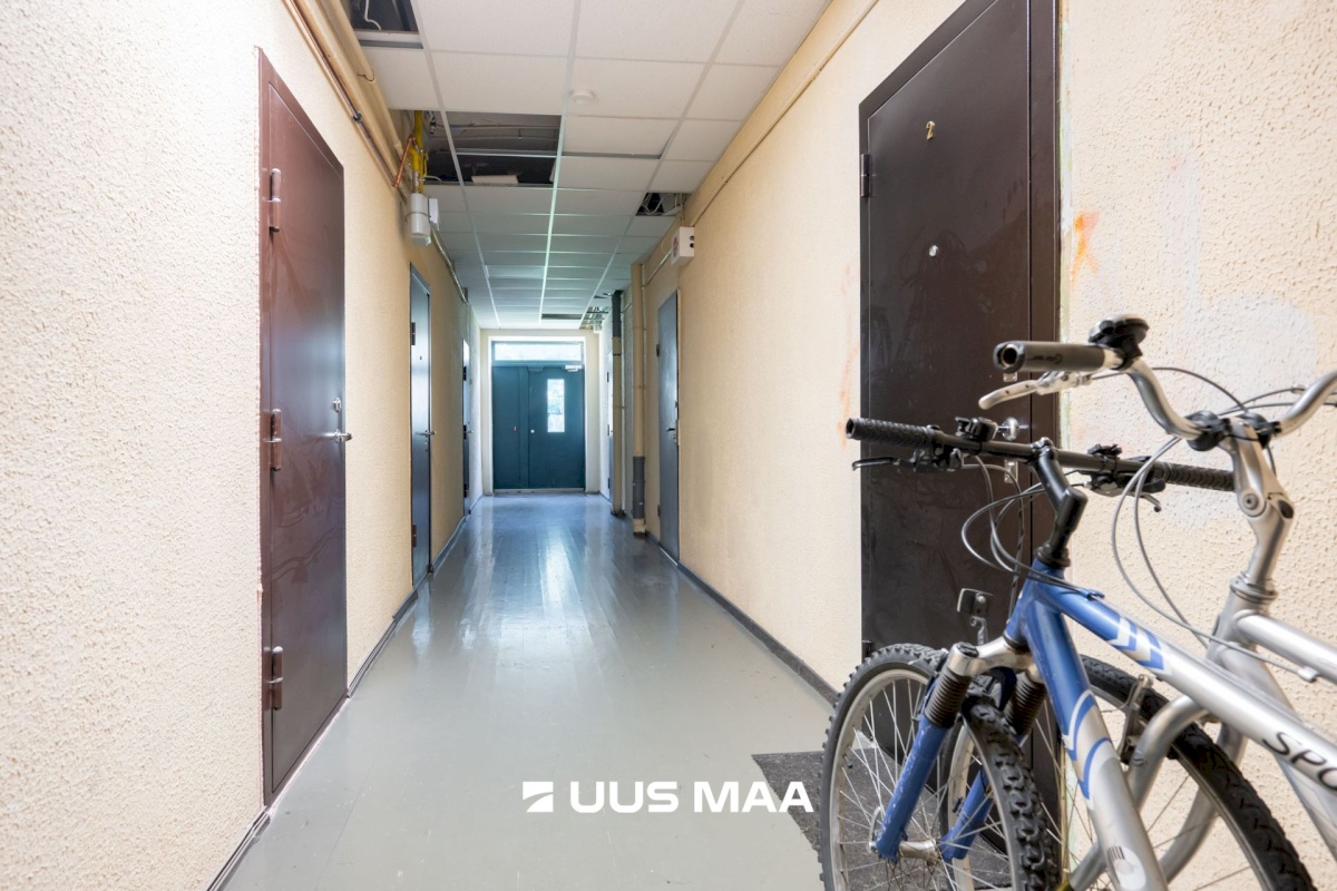 Tallinn, Põhja-Tallinna linnaosa, Pelguranna, Tuulemaa 11