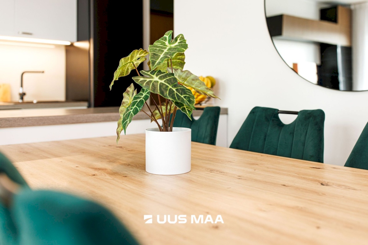 Kiili vald, Kiili alev, Lasteaia tn 16a