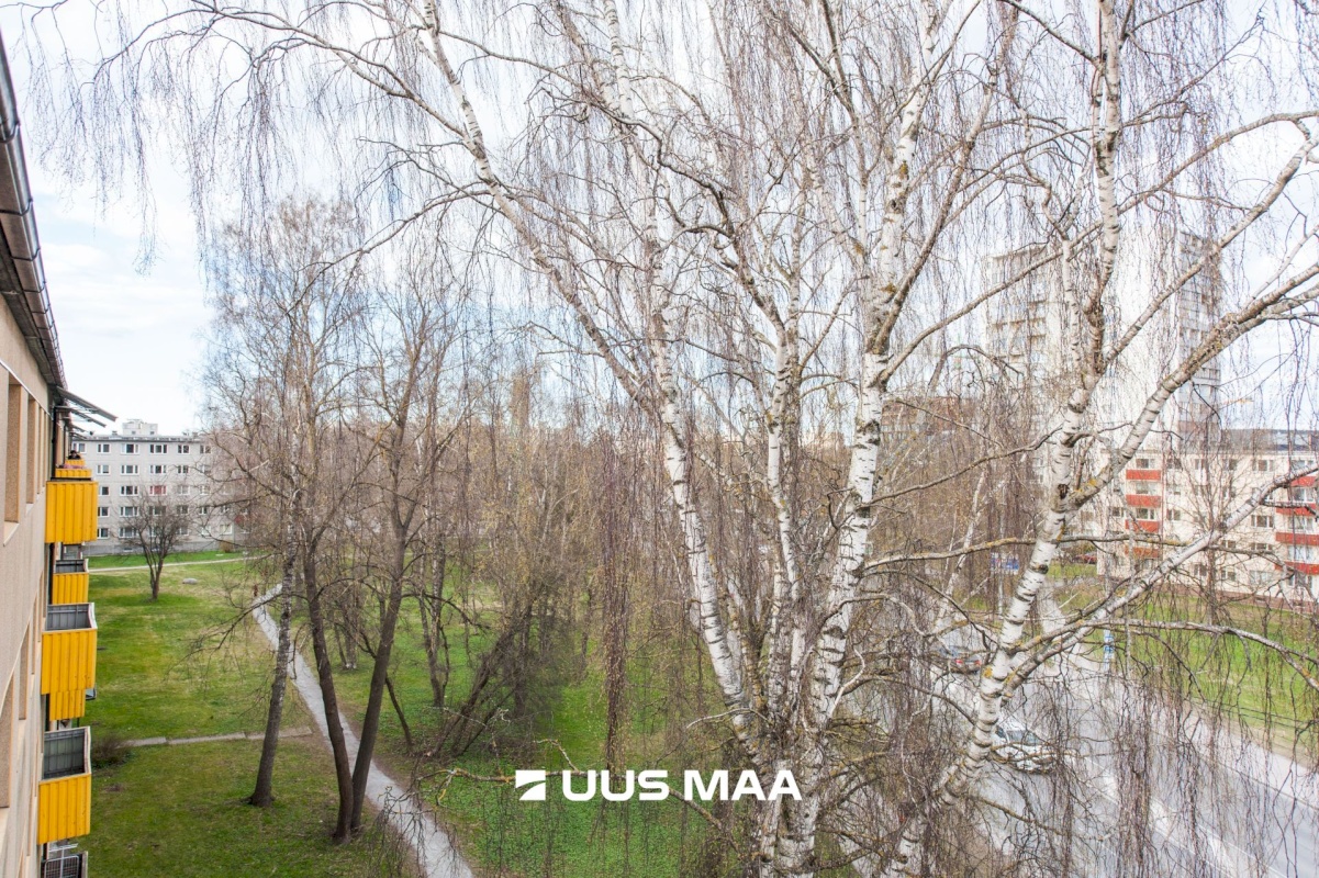 Tallinn, Mustamäe linnaosa, Mustamäe, Mustamäe tee 96