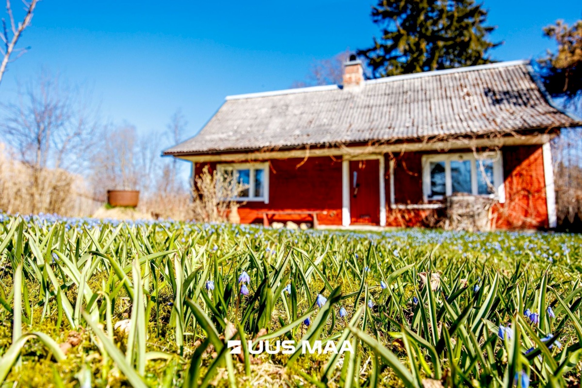 Lääne-Harju vald, Vilivalla küla, Sepa