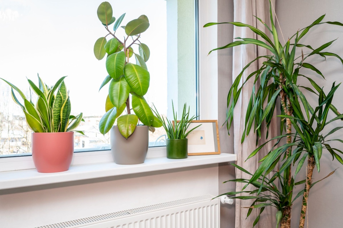 Saue vald, Laagri alevik, Redise 10