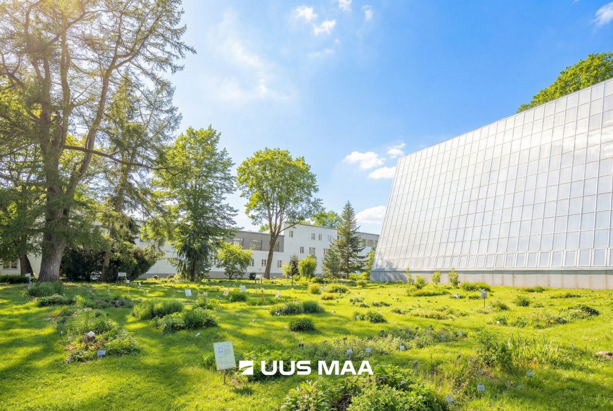 Tartu linn, Tartu linn, Kesklinn, Vanalinna, LAI 36C COLLECTION,  Lai 36c-11