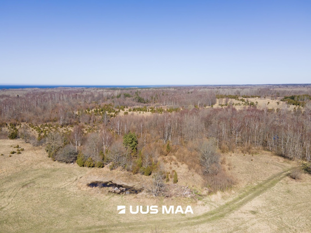 Saaremaa vald, Laadla küla, Nooreansu