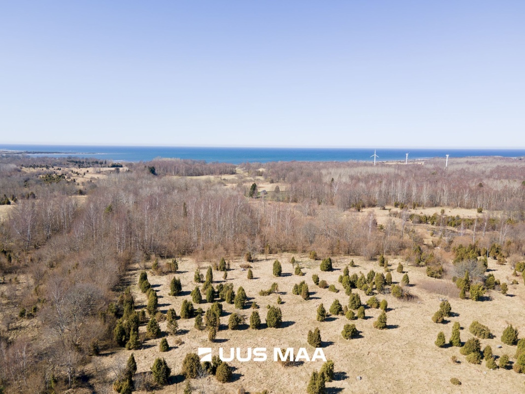 Saaremaa vald, Laadla küla, Nooreansu