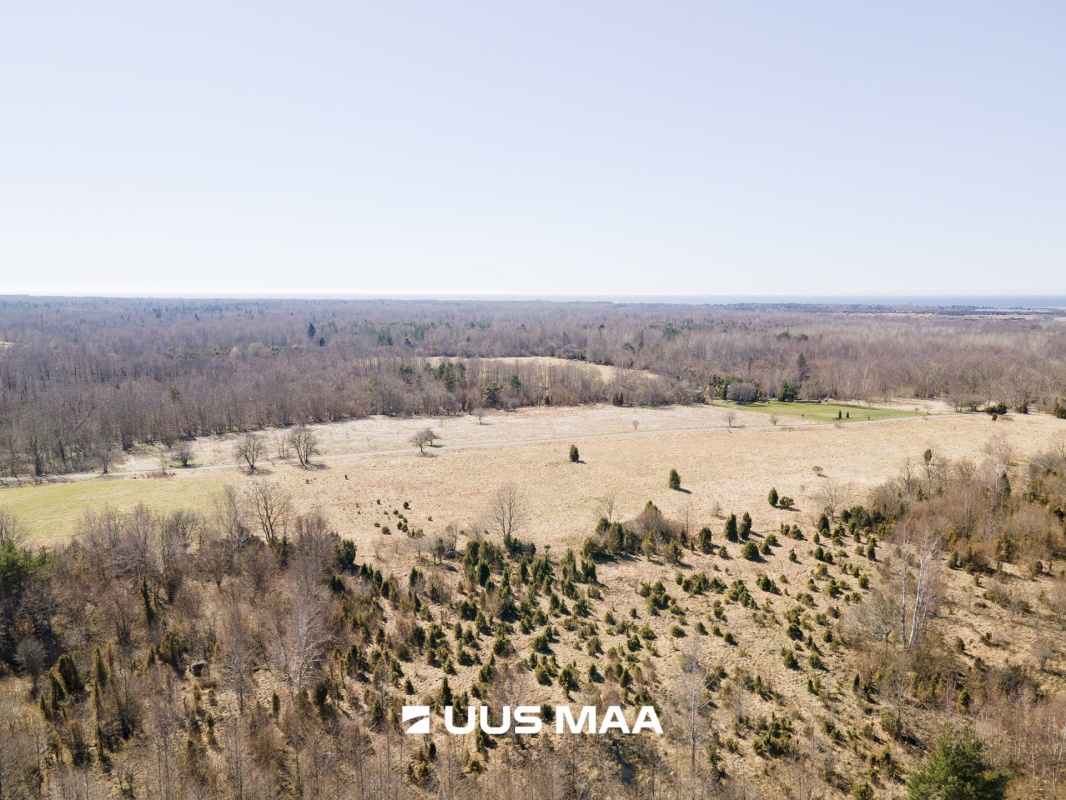 Saaremaa vald, Laadla küla, Nooreansu