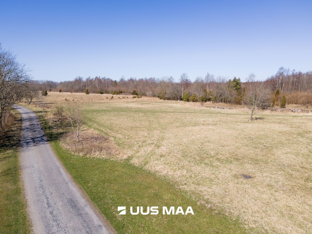 Saaremaa vald, Laadla küla, Nooreansu