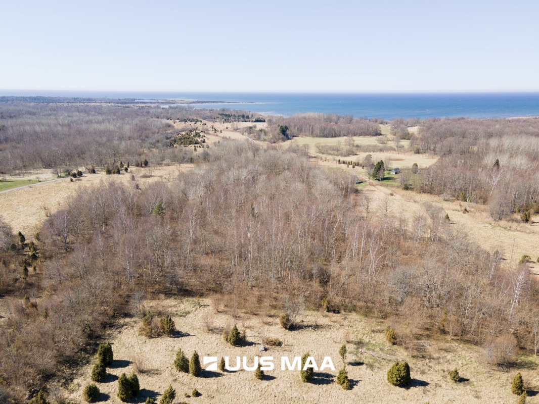 Saaremaa vald, Laadla küla, Nooreansu