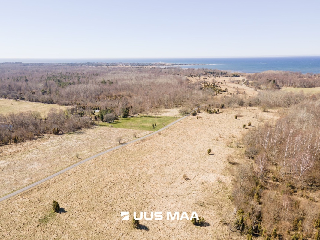 Saaremaa vald, Laadla küla, Nooreansu