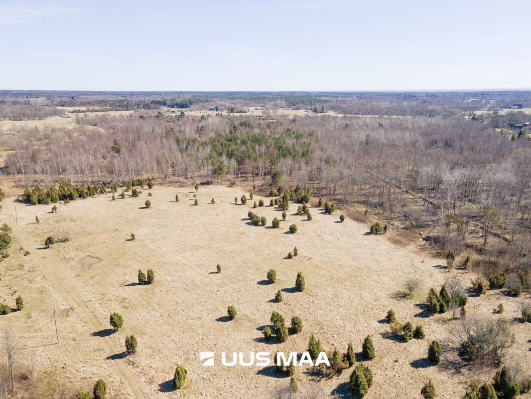 Saaremaa vald, Laadla küla, Nooreansu