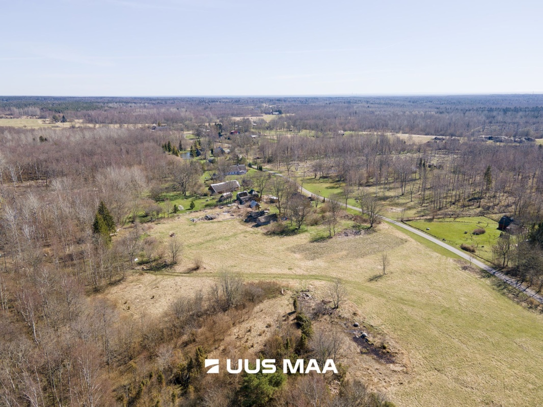 Saaremaa vald, Laadla küla, Nooreansu