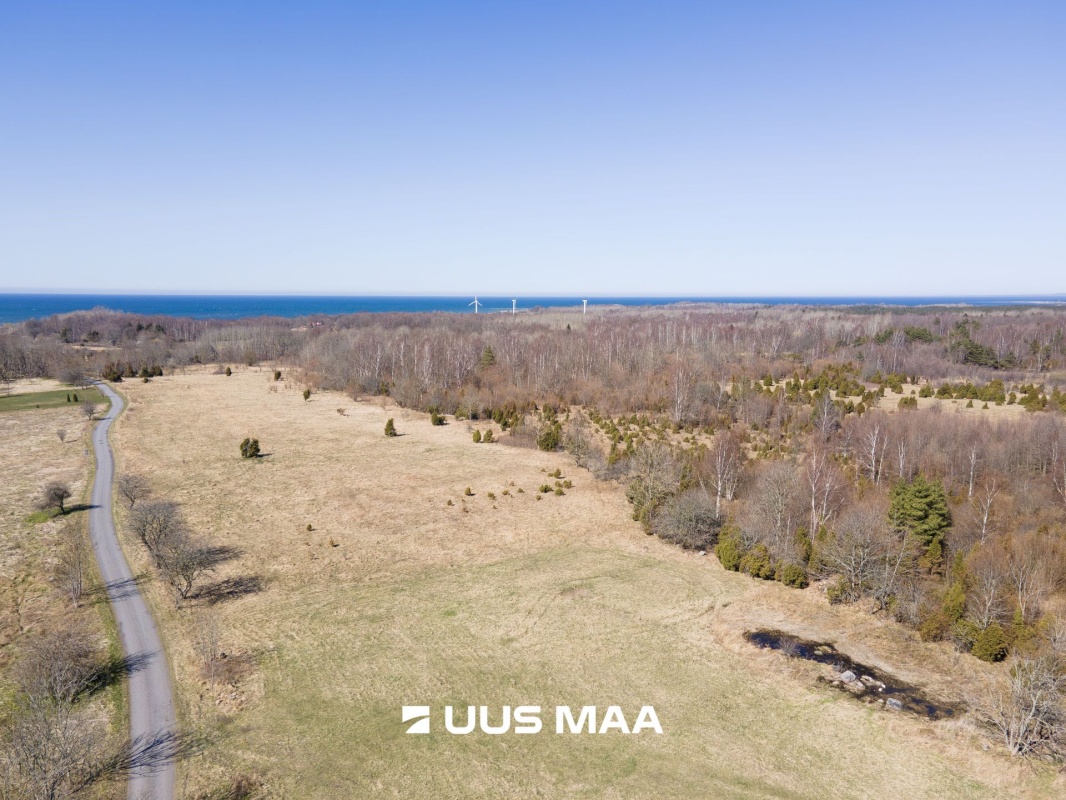 Saaremaa vald, Laadla küla, Nooreansu