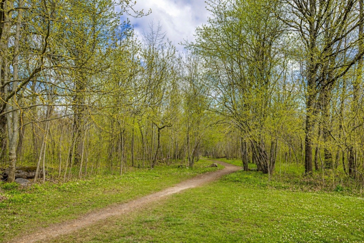 Rae vald, Jüri alevik, Tammiku tee 21