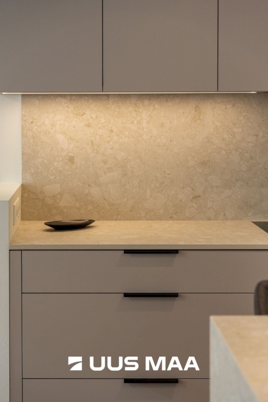 Tallinn, Kesklinna linnaosa, Kadriorg, Liivaoja 4b