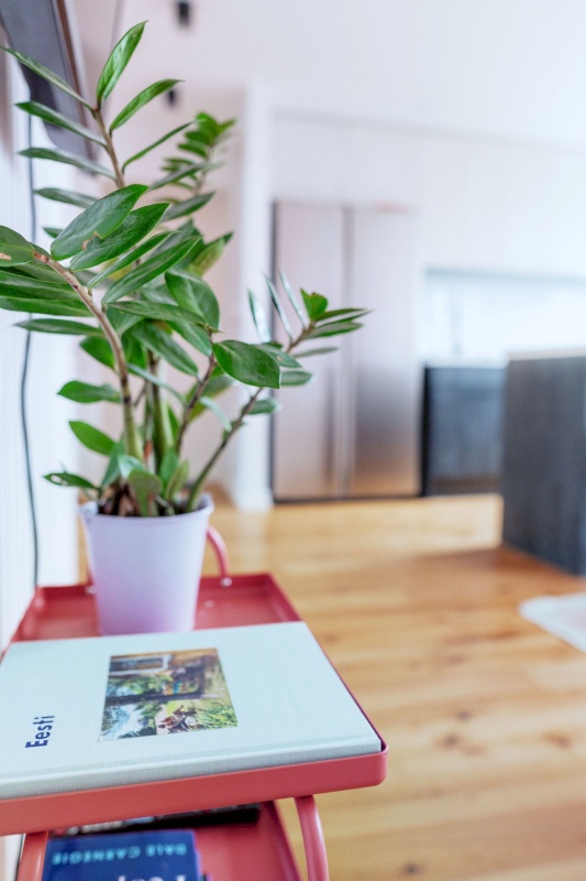 Haapsalu linn, Haapsalu linn, Kalda tn 14a