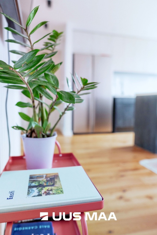 Haapsalu linn, Haapsalu linn, Kalda tn 14a