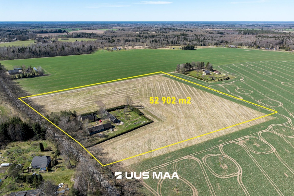 Põhja-Sakala vald, Supsi küla, Maasika