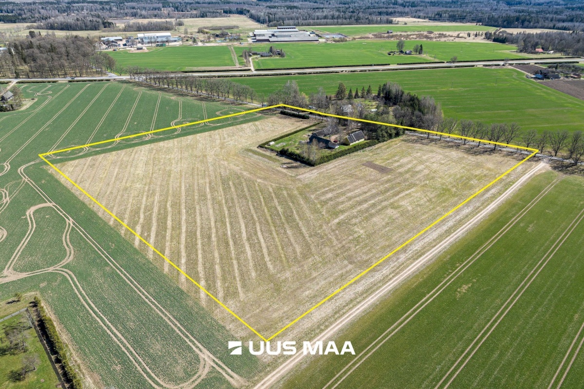 Põhja-Sakala vald, Supsi küla, Maasika