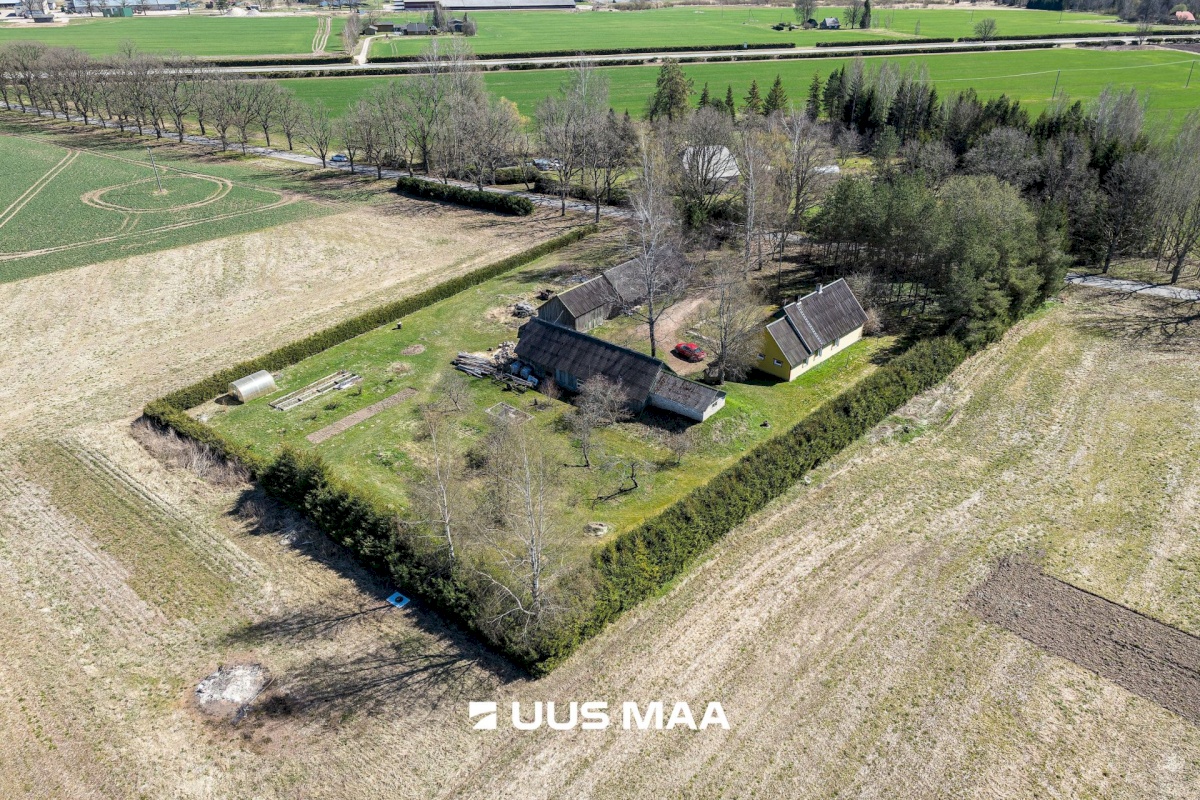 Põhja-Sakala vald, Supsi küla, Maasika