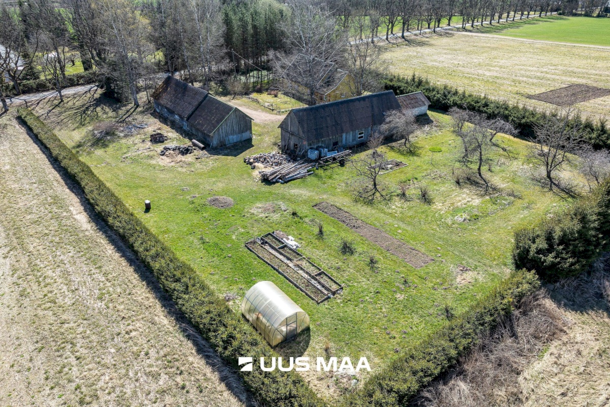 Põhja-Sakala vald, Supsi küla, Maasika