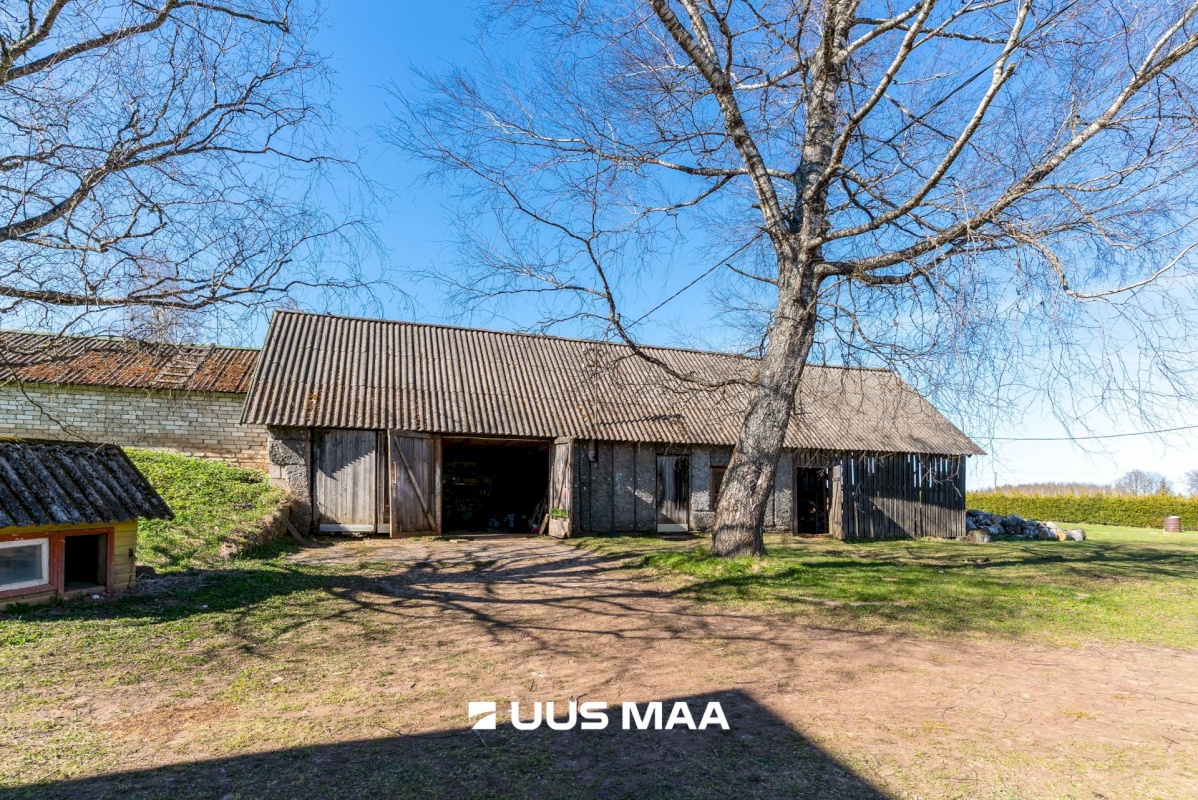 Põhja-Sakala vald, Supsi küla, Maasika