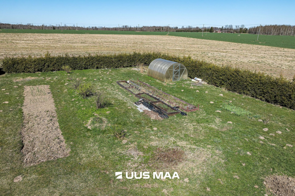 Põhja-Sakala vald, Supsi küla, Maasika