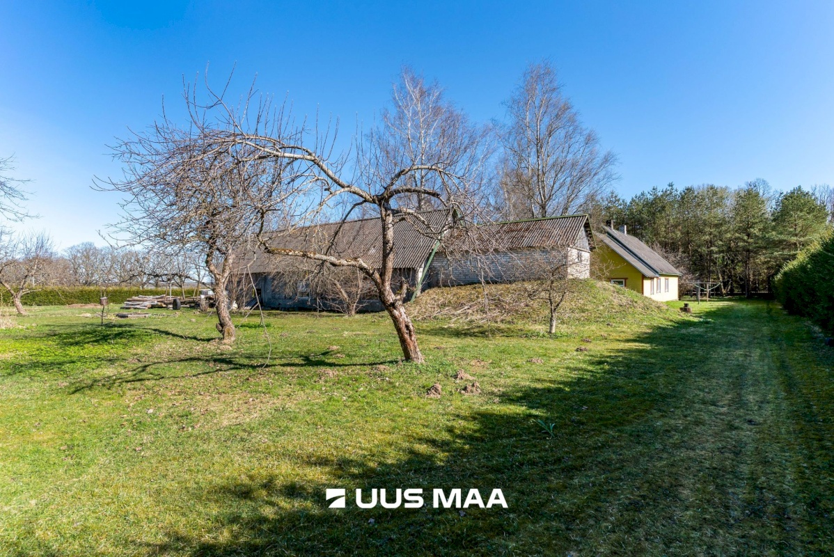 Põhja-Sakala vald, Supsi küla, Maasika