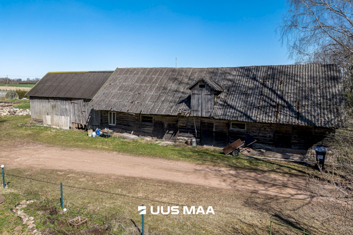 Põhja-Sakala vald, Supsi küla, Maasika