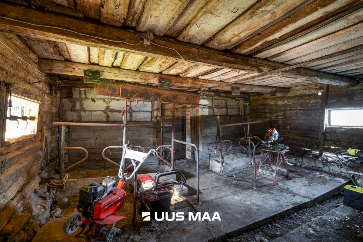 Põhja-Sakala vald, Supsi küla, Maasika