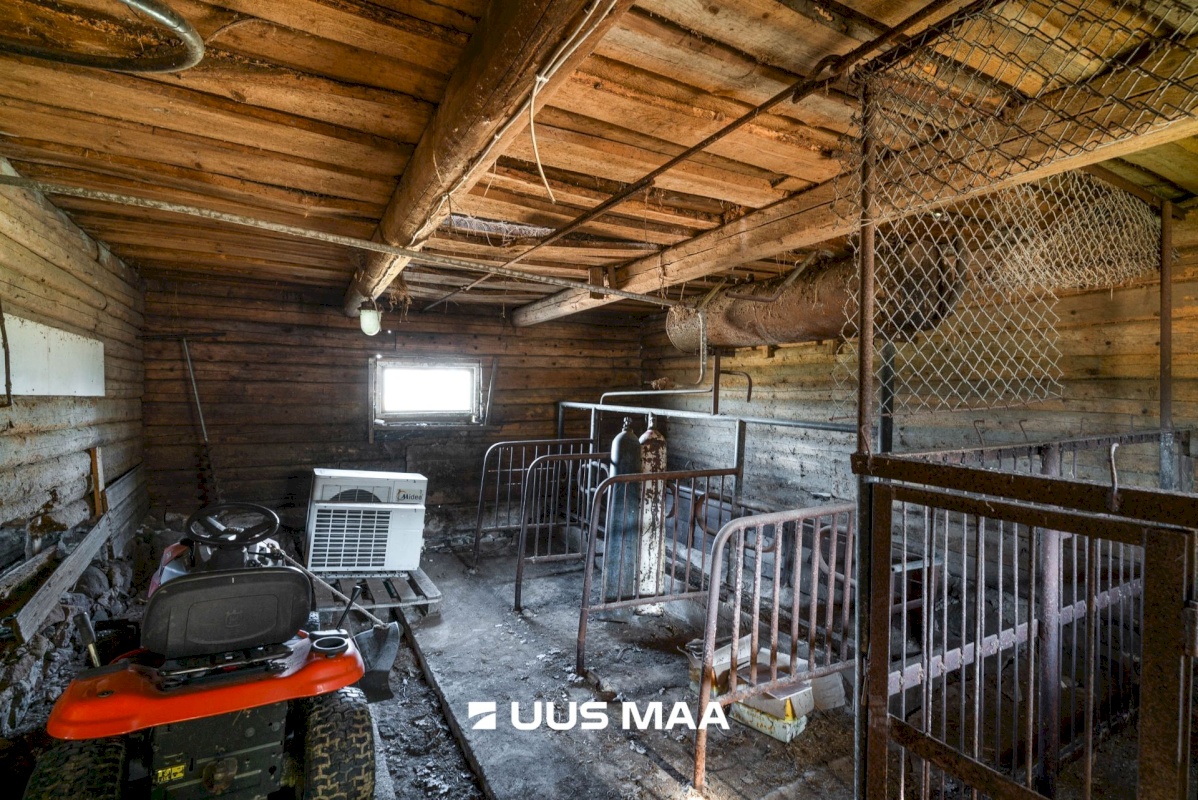 Põhja-Sakala vald, Supsi küla, Maasika