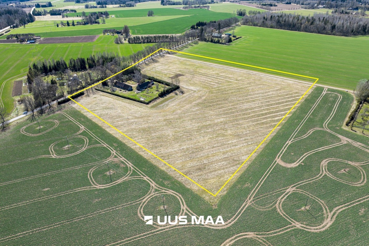 Põhja-Sakala vald, Supsi küla, Maasika