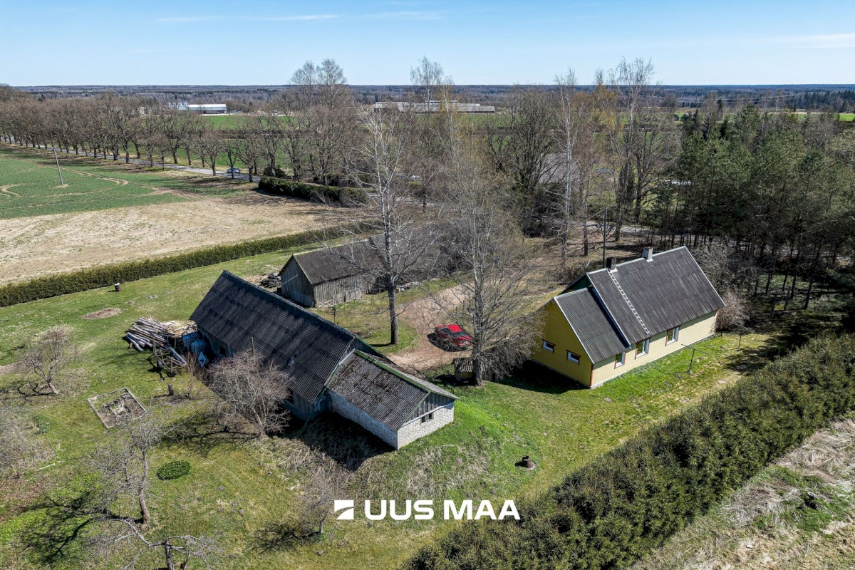 Põhja-Sakala vald, Supsi küla, Maasika