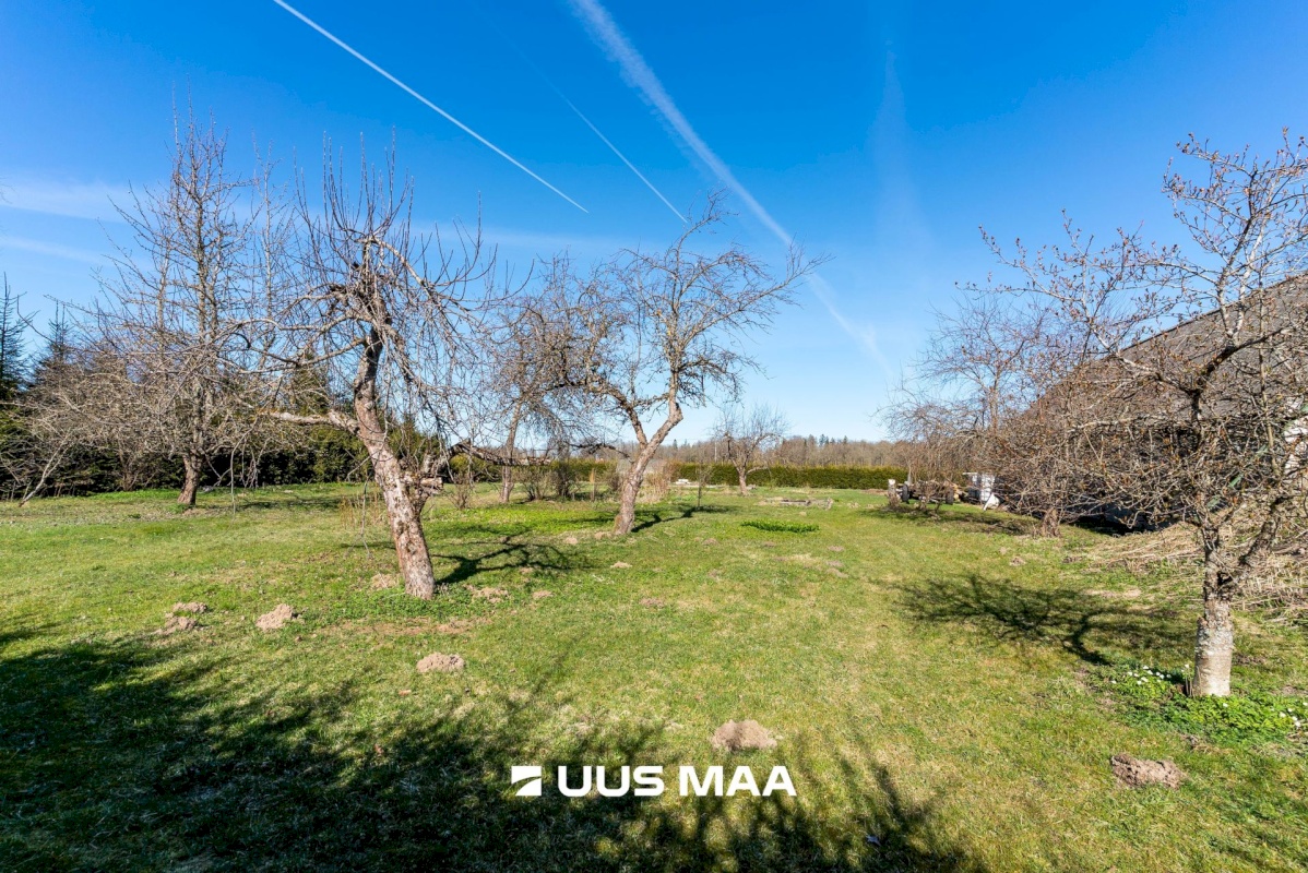 Põhja-Sakala vald, Supsi küla, Maasika