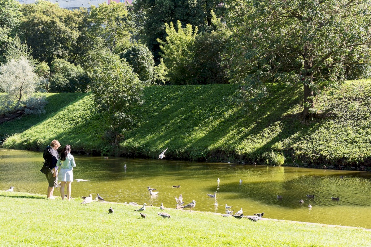 Tallinn, Kesklinna linnaosa, Suur-Kloostri 1