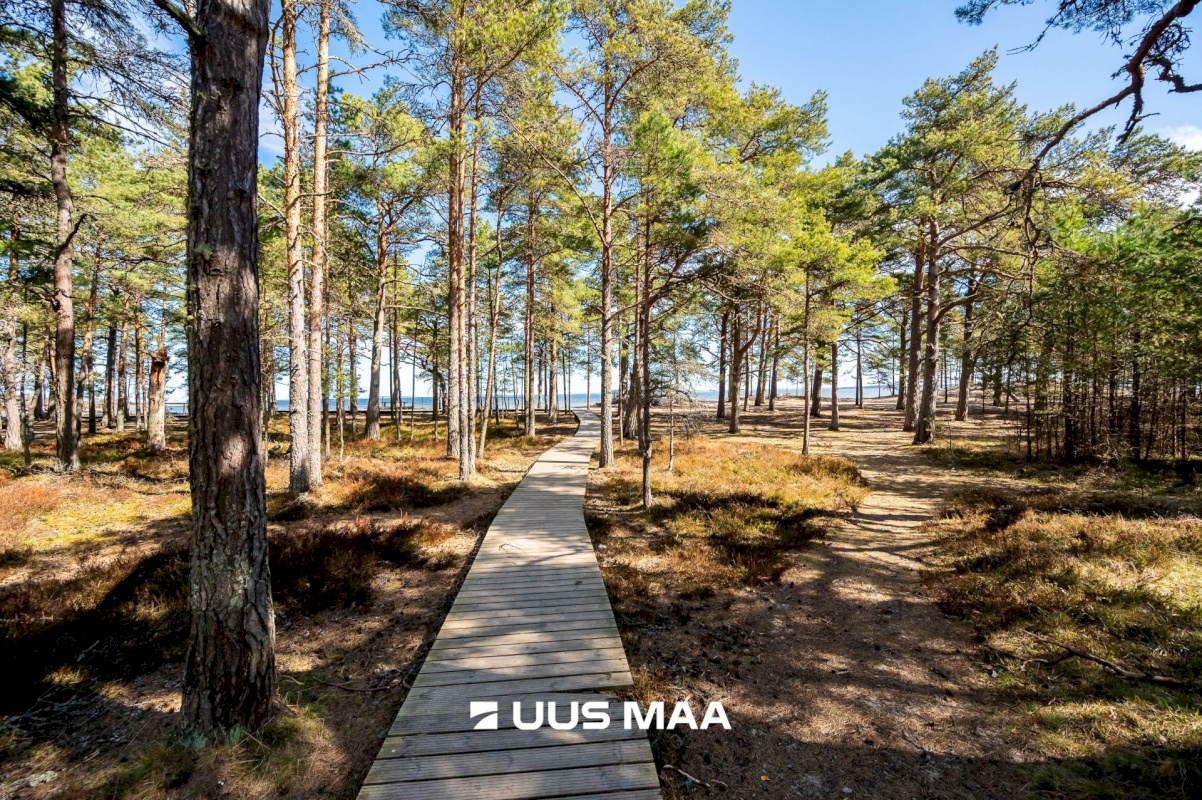 Jõelähtme vald, Haapse küla, Põhja-Kullamäe ühistu 29