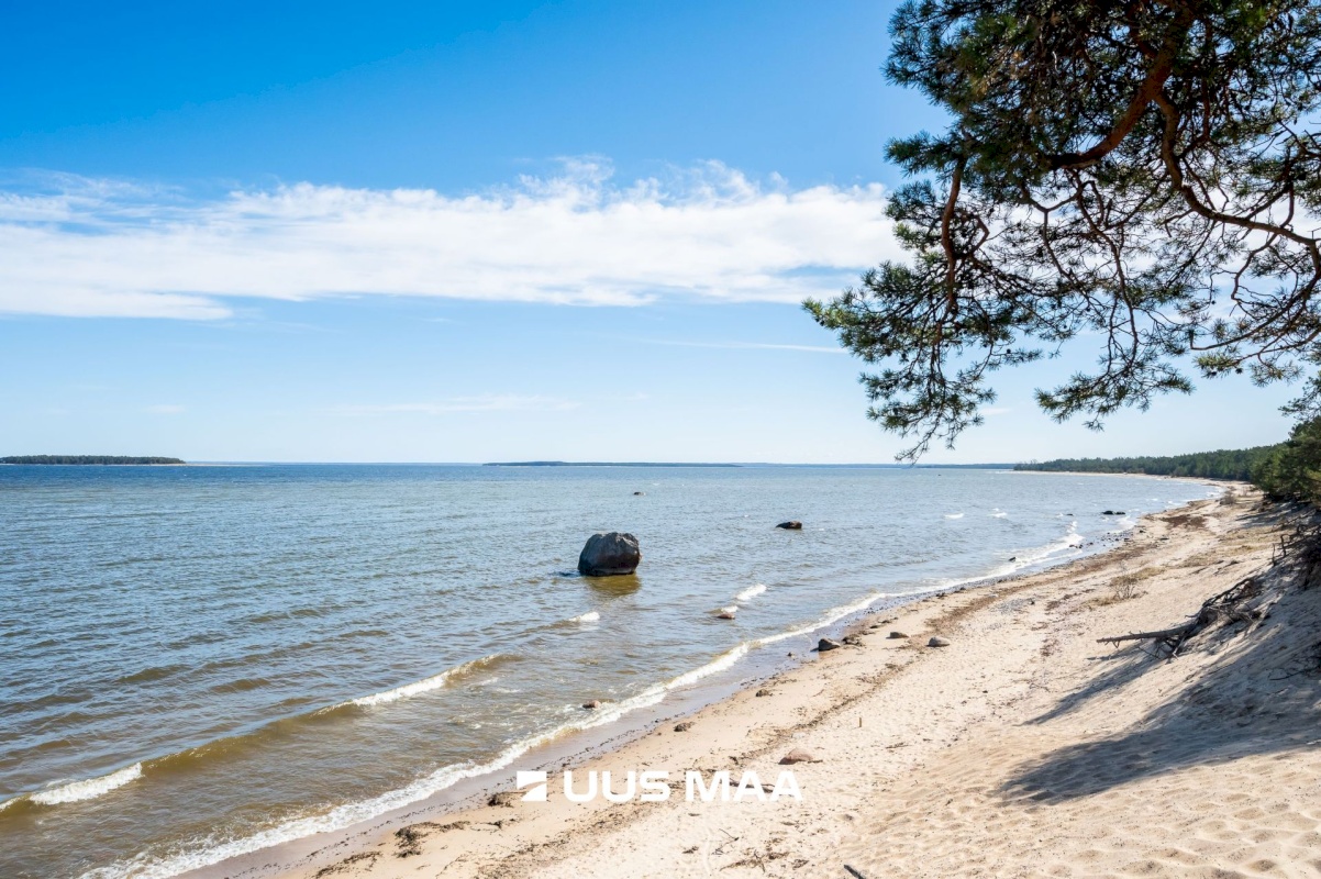 Jõelähtme vald, Haapse küla, Põhja-Kullamäe ühistu 29