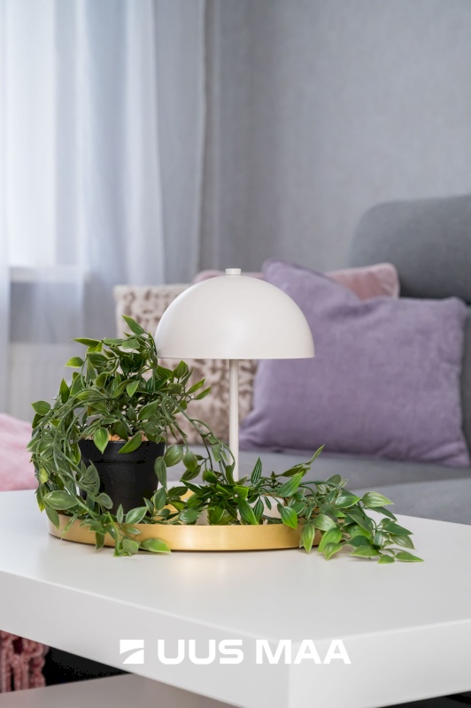 Tallinn, Lasnamäe linnaosa, Sikupilli, Majaka 4