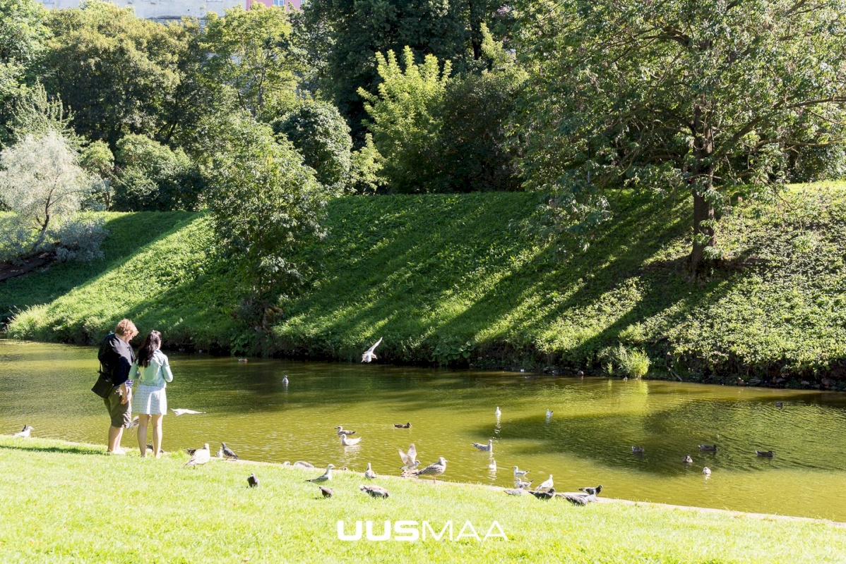 Tallinn, Kesklinna linnaosa, Vanalinn, Suur-Kloostri tn 1