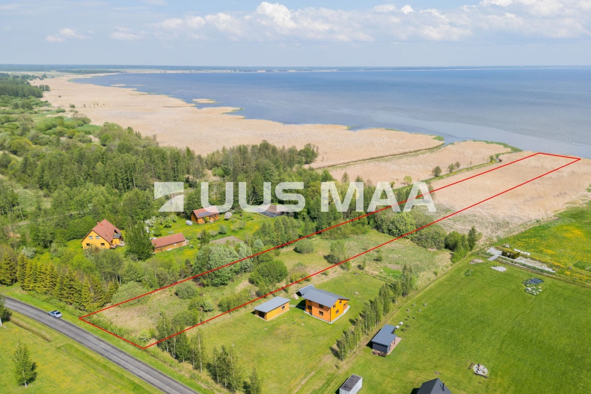 Pärnu linn, Kabriste küla, Angerjaahvena