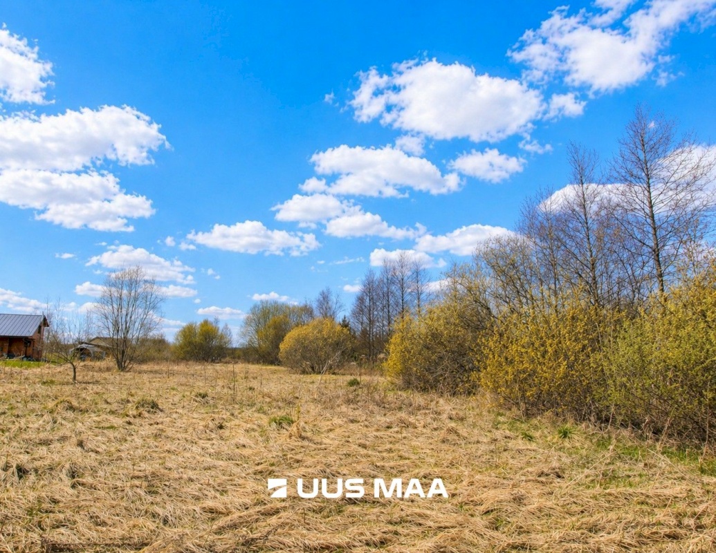 Pärnu linn, Kabriste küla, Angerjaahvena